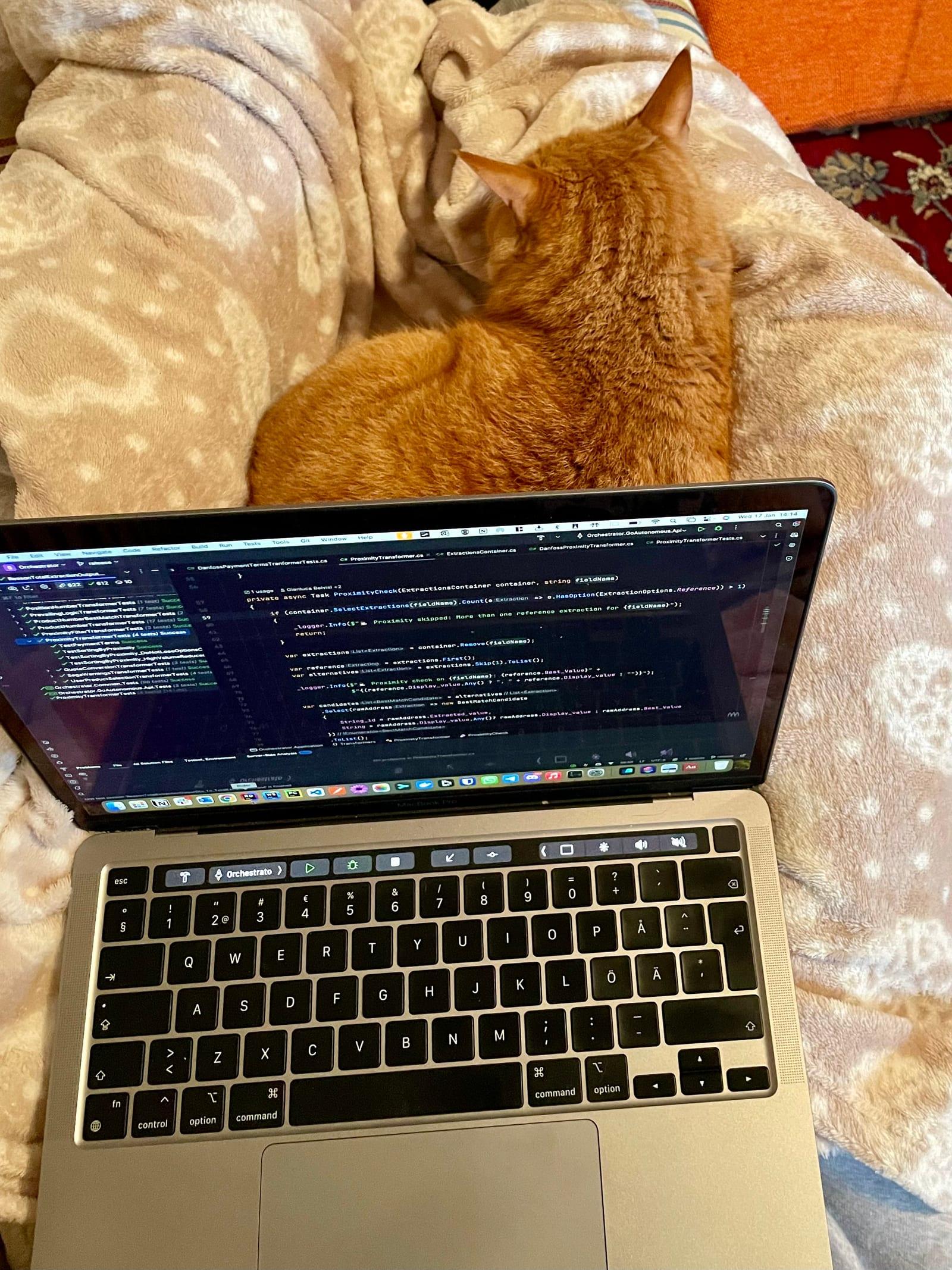 Semola on my lap
